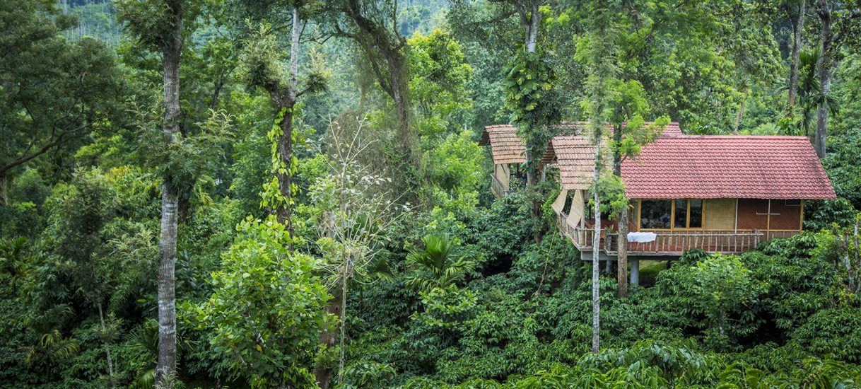 Tree house at Coffee County Resorts Wayanad